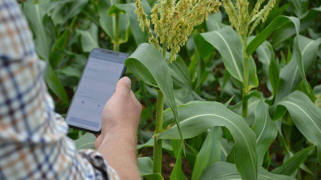 KisanHub launches new features for crop-tracking app 